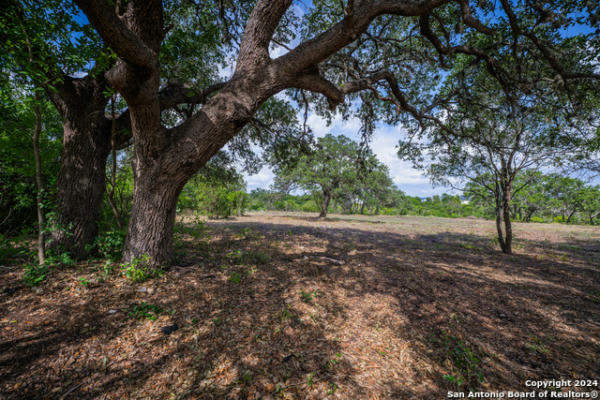 13402 LUCAS CIR, SAN ANTONIO, TX 78245, photo 3 of 42