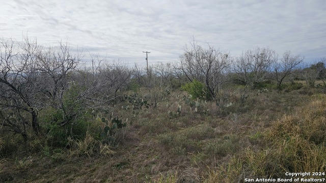 949 W AVE K LOTS 3283-3285, CHRISTINE, TX 78012, photo 3 of 7