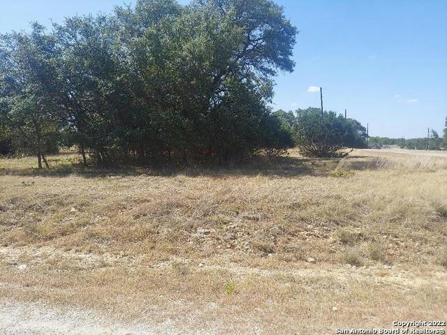 LOT 448 WILLIAMS WOOD, BLANCO, TX 78606, photo 1 of 12