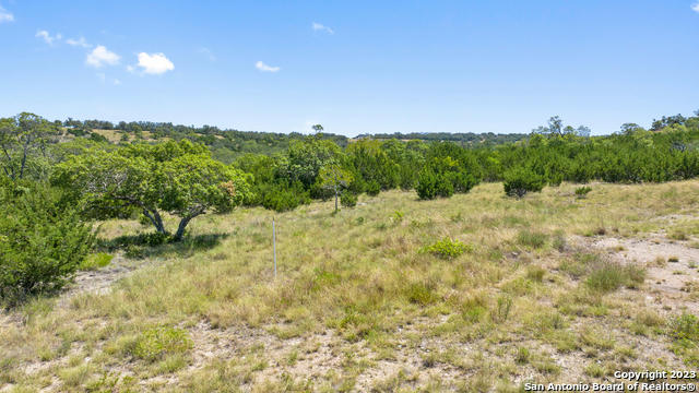 TRACT 21 RANCH ROAD 1623, BLANCO, TX 78671, photo 4 of 7