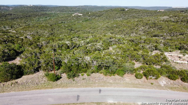 343 COUNTY ROAD 2744, MICO, TX 78056, photo 5 of 10