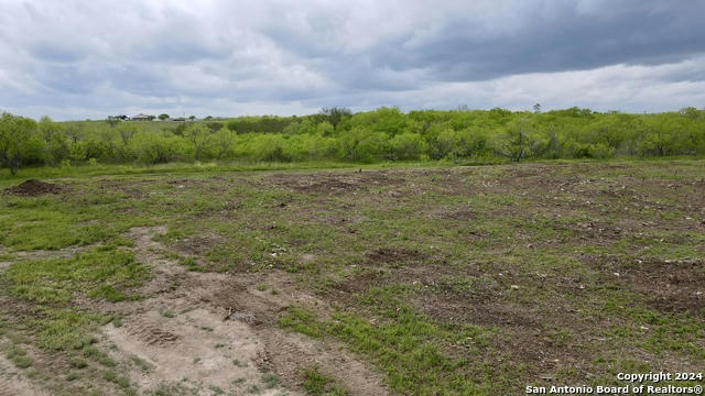 TBD LOT 1 STATE HIGHWAY 80, NIXON, TX 78140, photo 5 of 11