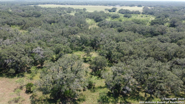 000 COUNTY ROAD 311, DHANIS, TX 78850, photo 5 of 10