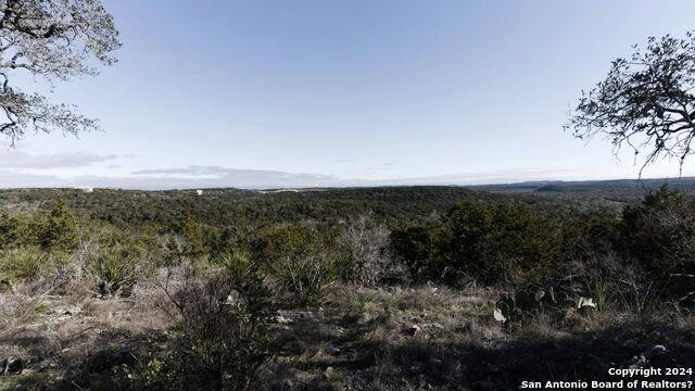 TBD COUNTY ROAD 2720, MICO, TX 78056, photo 2 of 9