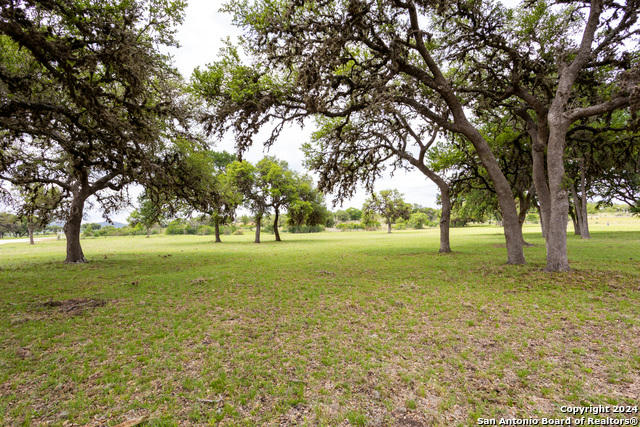 LOT 20 RINGTAIL COURT, PIPE CREEK, TX 78063, photo 1 of 46