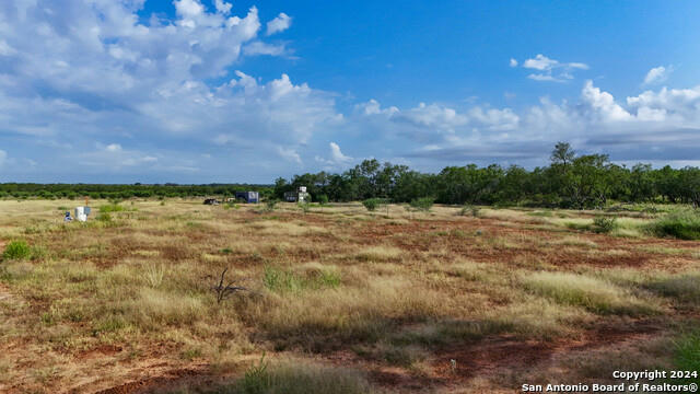 677 COUNTY ROAD 106, FLORESVILLE, TX 78114, photo 5 of 35
