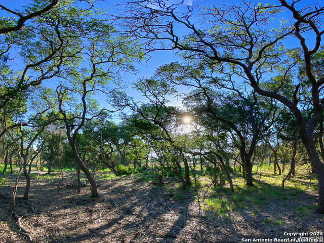 LOT 87 CREEKSIDE AT CAMP VERDE, CENTER POINT, TX 78010, photo 1 of 34